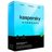 Kaspersky Standard – 3 Poste | 1 An